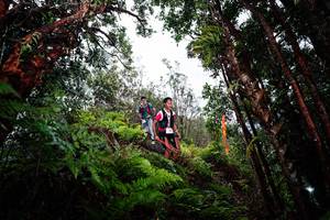 BIB: 
                            <button type="button" onclick="openModal(26203470)" class="btn btn-primary btn-sm float-right btn-popup" data-toggle="modal" data-target=".modal-high-quality">
                        <i class="fas fa-shopping-cart"></i> Add to Cart
                    </button>
                                            <button type="button" onclick="isThisMe(26203470, true)" class="btn btn-success btn-sm float-right btn-popup btn-isme hidden" data-toggle="tooltip" data-placement="bottom" title="นี่คือรูปของคุณใช่ไหม คลิกที่นี่เพื่อเอาเข้าอัลบั้ม">
                        <i class="fas fa-plus"></i> Add to album
                    </button>
                    <button type="button" onclick="isThisMe(26203470, false)" class="btn btn-warning btn-sm float-right btn-popup btn-isnotme hidden">
                        <i class="fas fa-ban"></i> Remove from album
                    </button>